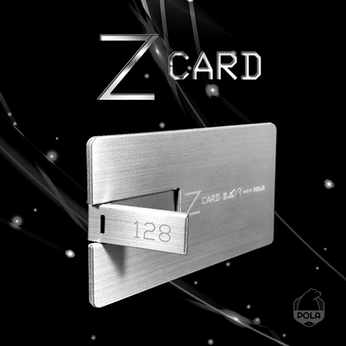 WV USB2.0 8G Z-CARD