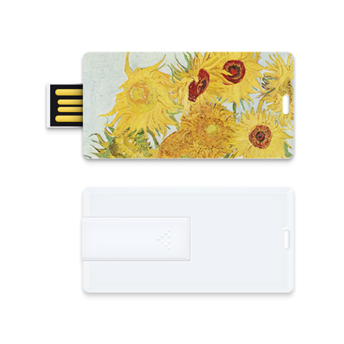 레빗 CX02 슬라이드카드형 USB메모리 (8GB)