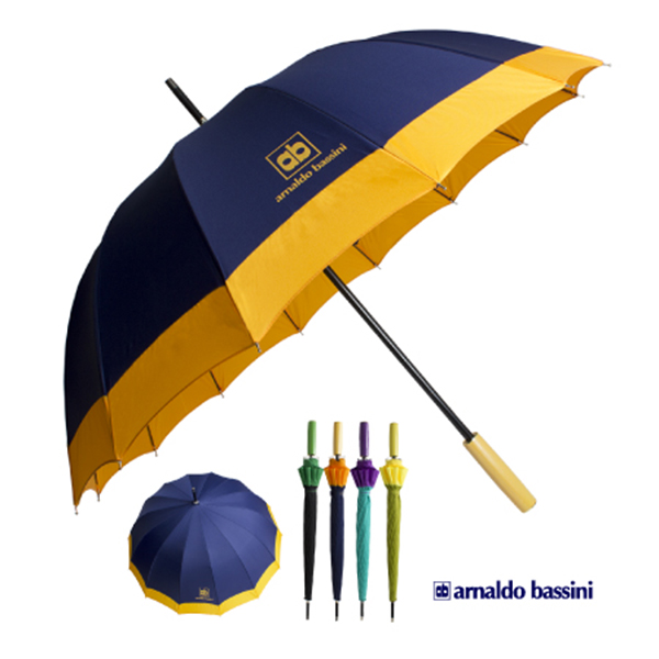 아놀드바시니 60폰지보다/장우산.자동우산