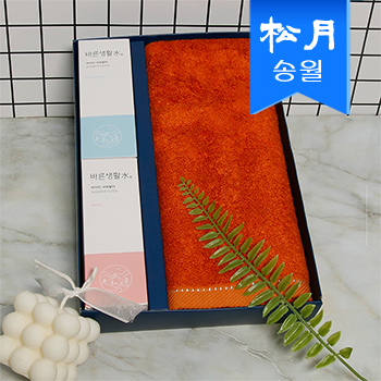 샤워뽀송 선물세트(솔리드뱀부 무지타올1 + 샤워필터 2) + 쇼핑백