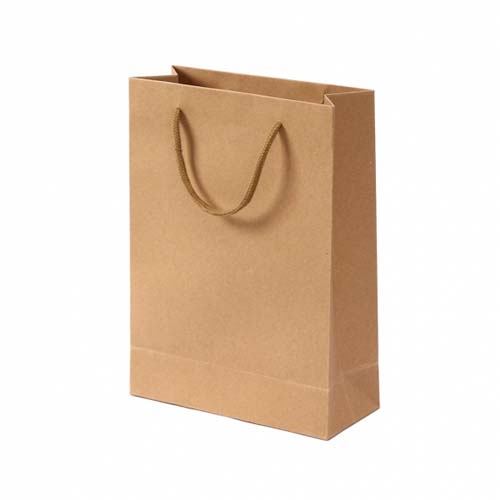 무지 세로형 쇼핑백 10p (25 x 33cm) (브라운) 종이 가방