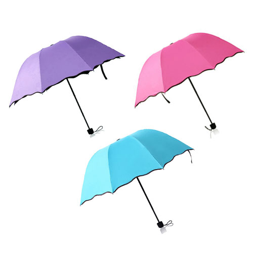비비드 우산2 UV 양산겸용
