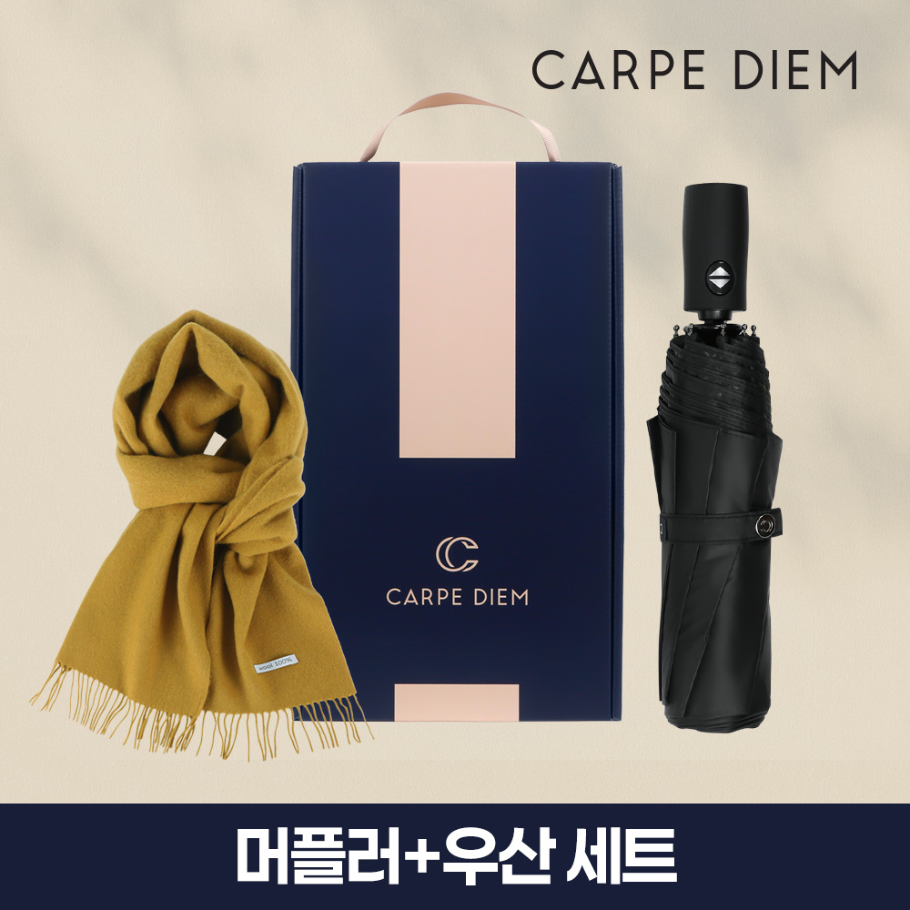 카르페디엠 3HH3C048 머플러 우산 세트