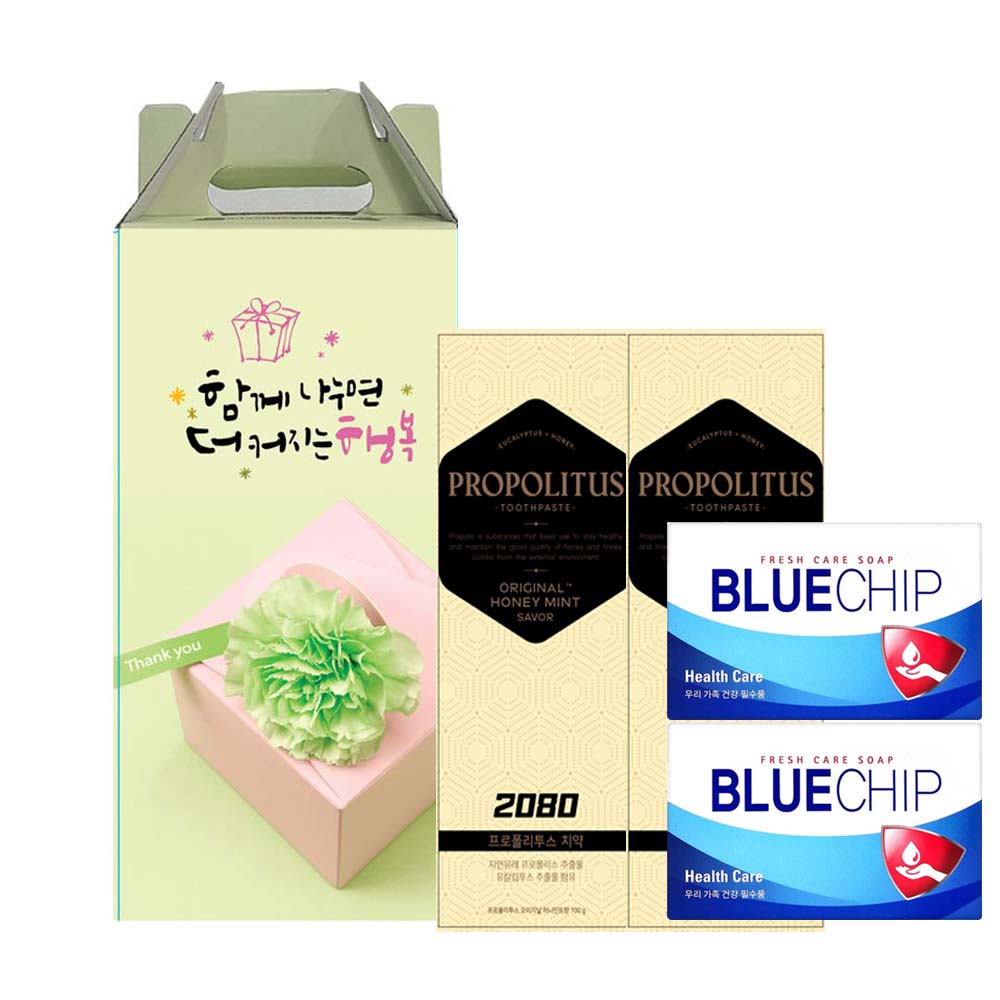 애경 2080 플로폴리스치약 2+ 블루칩비누2 세트