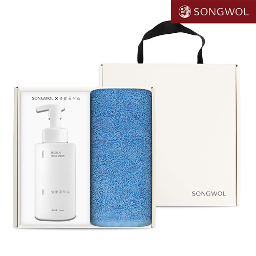 송월 핸드워시 기프트세트 29 (항균 프리미엄 무지170g 1P + 생활공작소500ml 1