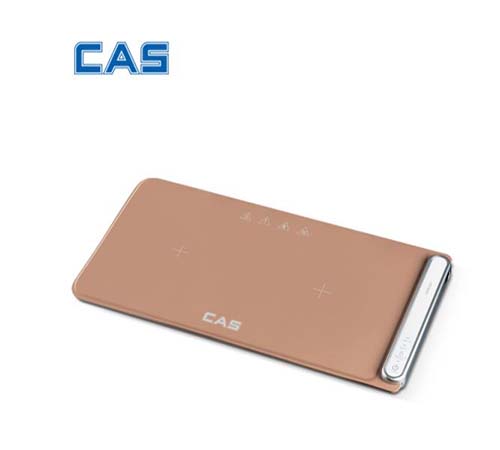 CAS 카스 파인다이닝 접이식 전기 보온 플레이트 푸드워머 CEFW-201