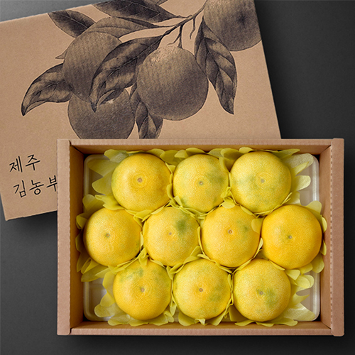 (10+1)실속 제주 황금향세트(3kg/10~15과)