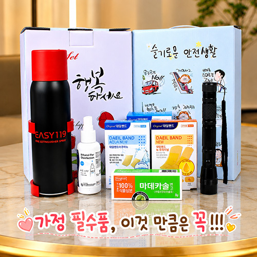 슬기로운안전생활 케이스+ 미니소화용구 + 후레쉬 +동국제약 마데카솔 연고 외 6종