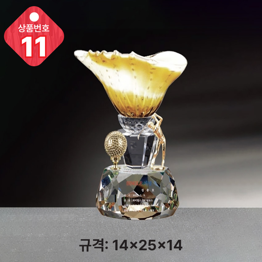 크리스탈 트로피 11-
